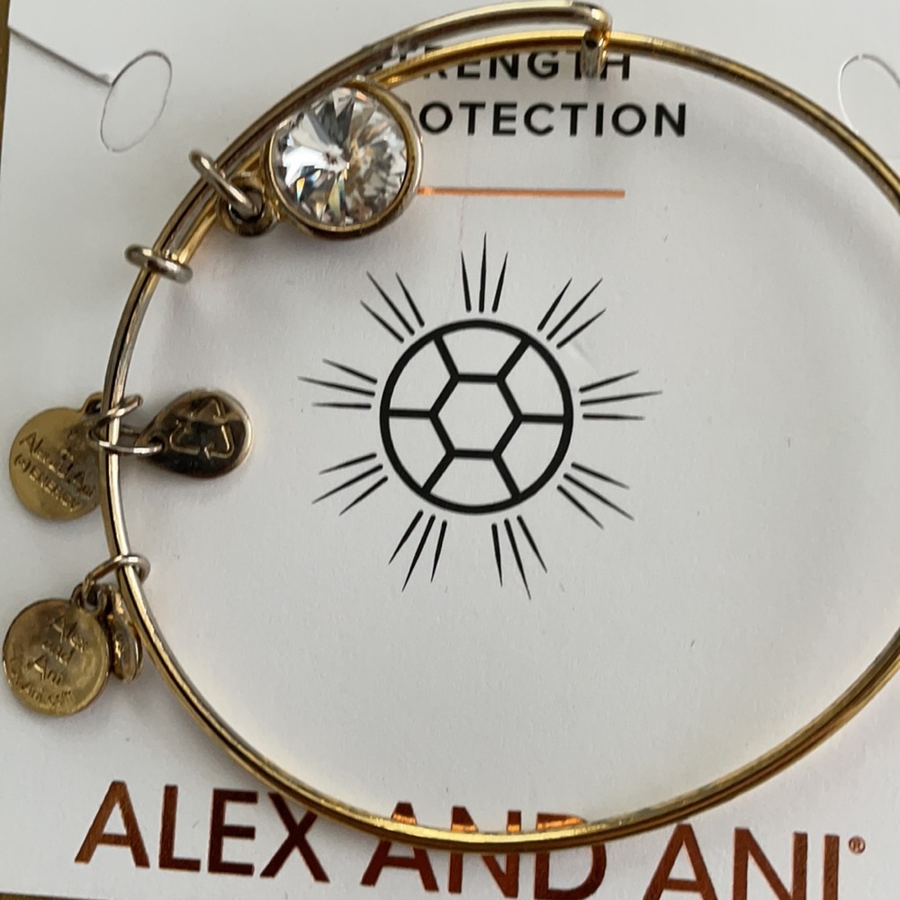 Alex and Ani Bracelet
